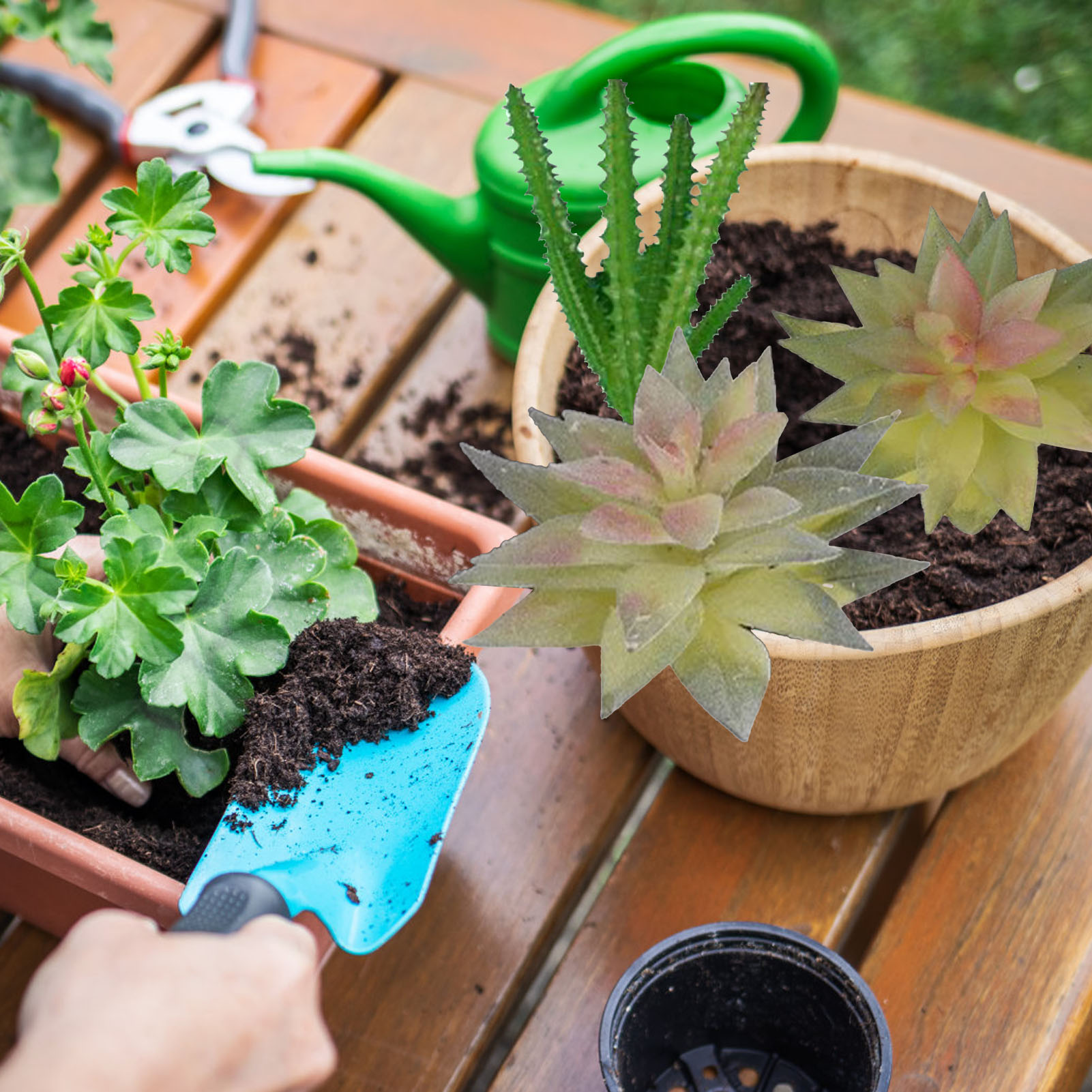 Künstliche, Beflockte Bonsai-bäume Aus Sukkulenten, Künstliche Mini-sukkulenten Als Accessoires, Blumenarrangements, Begrünte Wände, Diy-dekorationsartikel, Fünfblättrige Lotusblumen