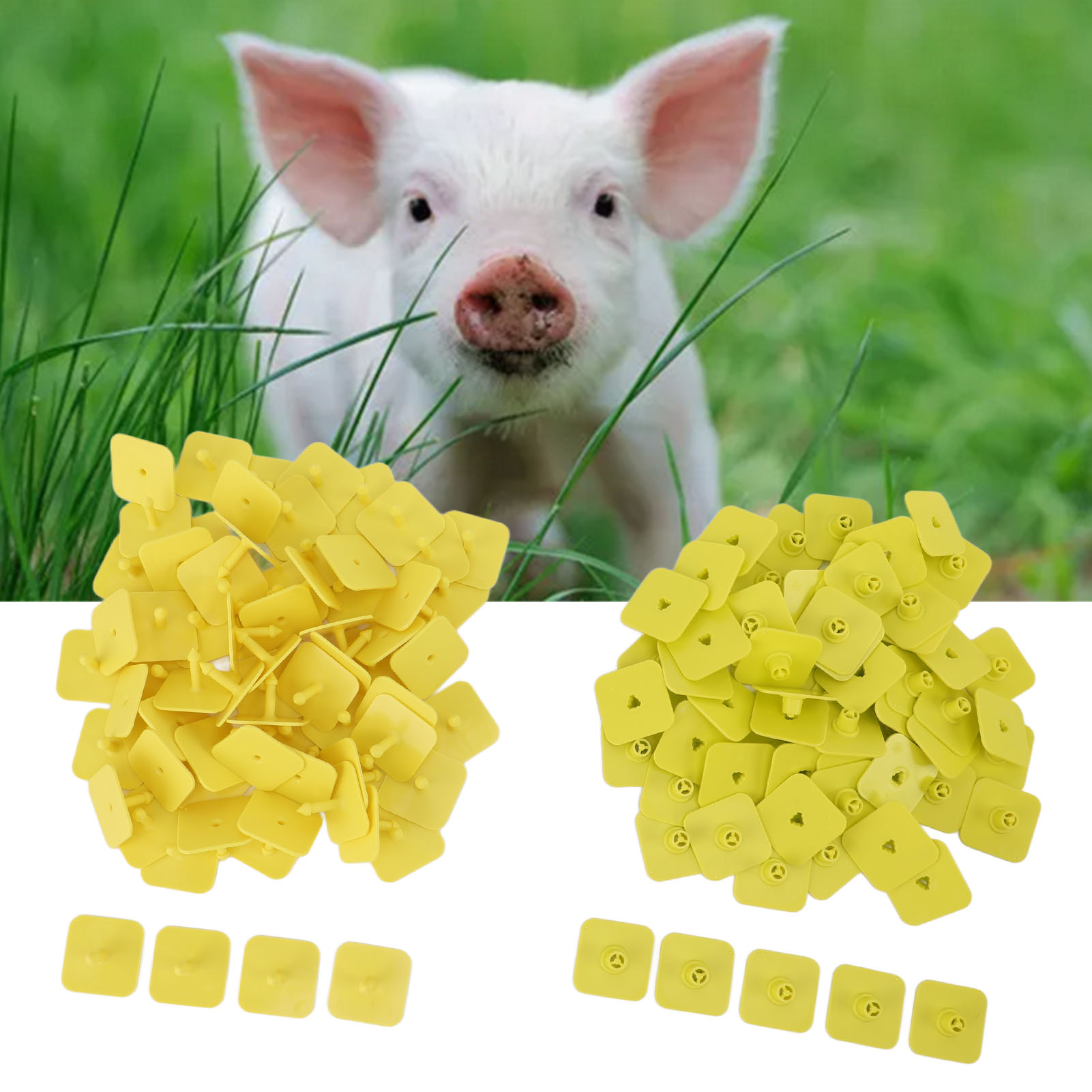100 Lose/verkauf Von Kleinen Quadratischen Etiketten Für Schweineohren, Etiketten Für Ferkelohren, Etiketten Für Lammohren, Blanko-etiketten Für Schweineohren.