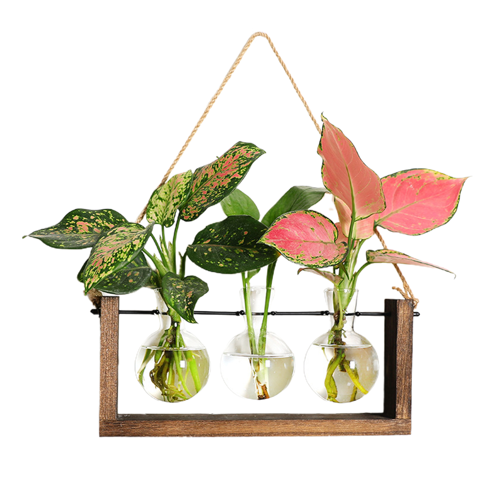 Holzvase Für Die Wand Mit Drei U-förmigen Kugeln, Ideal Für Die Hydroponische Anzucht Von Efeutute.