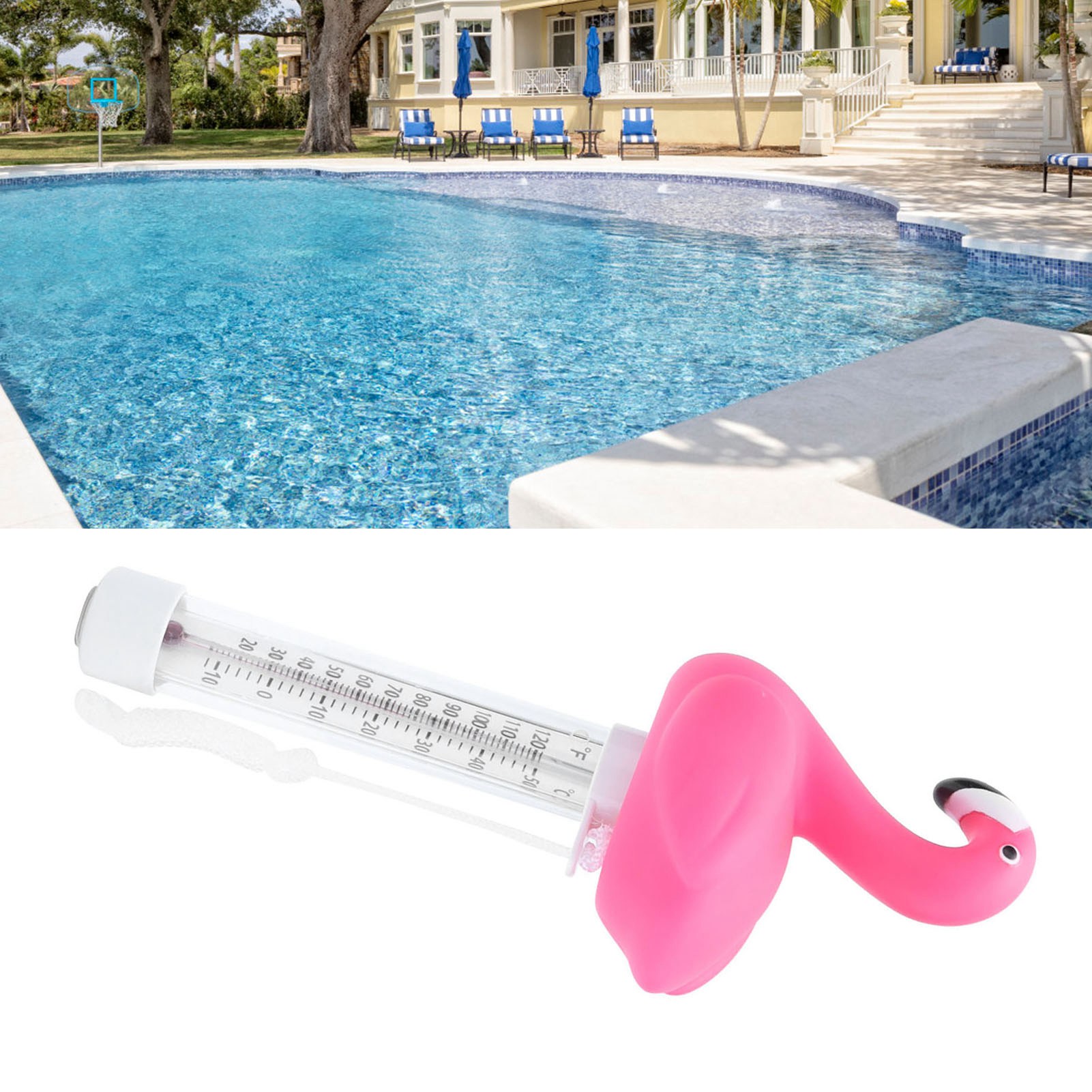 Firebird Schwimmthermometer Für Schwimmbäder, Schwimmthermometer Für Whirlpools, Whirlpoolzubehör, Wassertemperaturmesser, Schwimmbadzubehör
