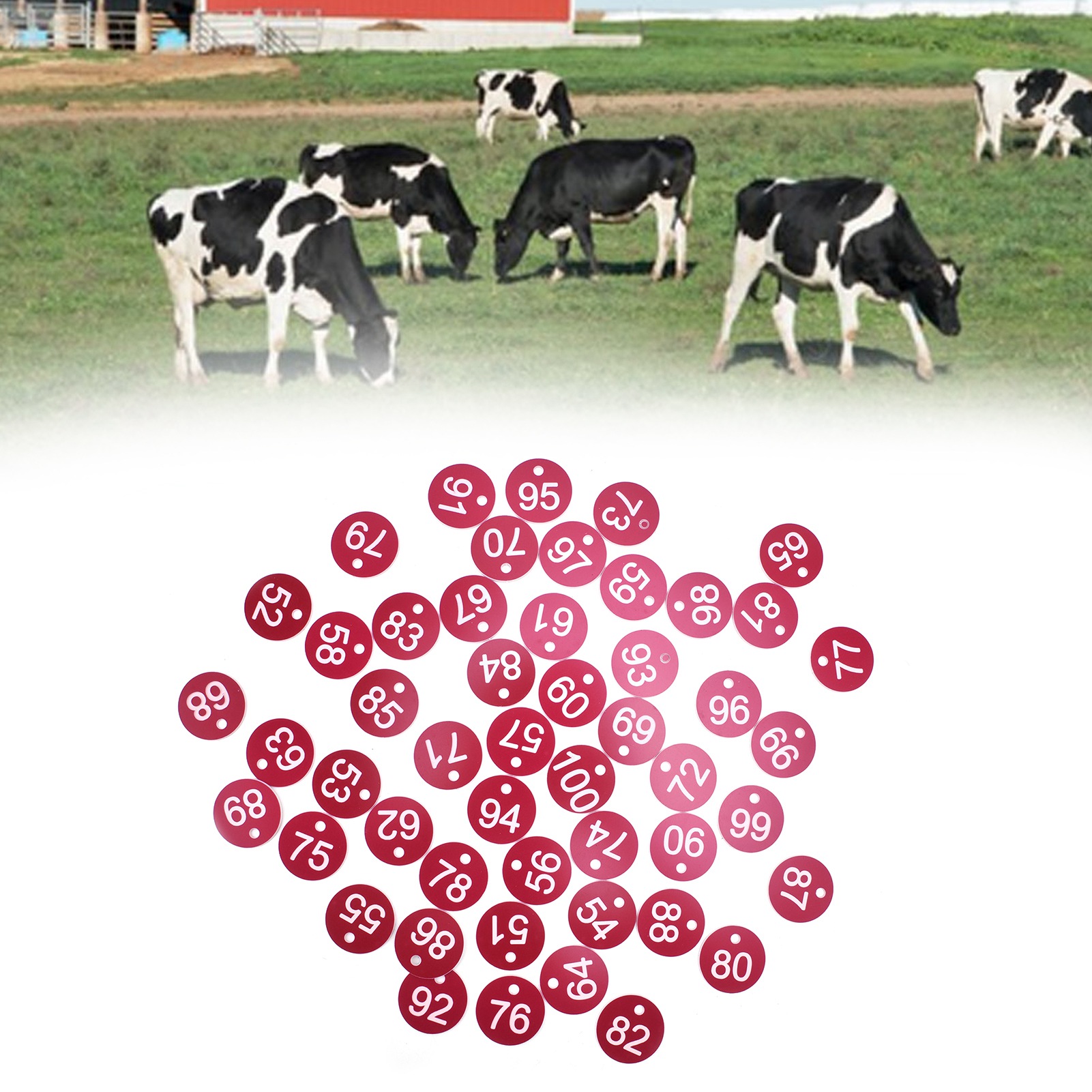 Packung Mit 50 Nummerierten Etiketten (51–100) Für Imkerei Und Tierhaltung, Perforiert, Für Bienenstöcke Und Tierbedarf. Farbe: Rot.