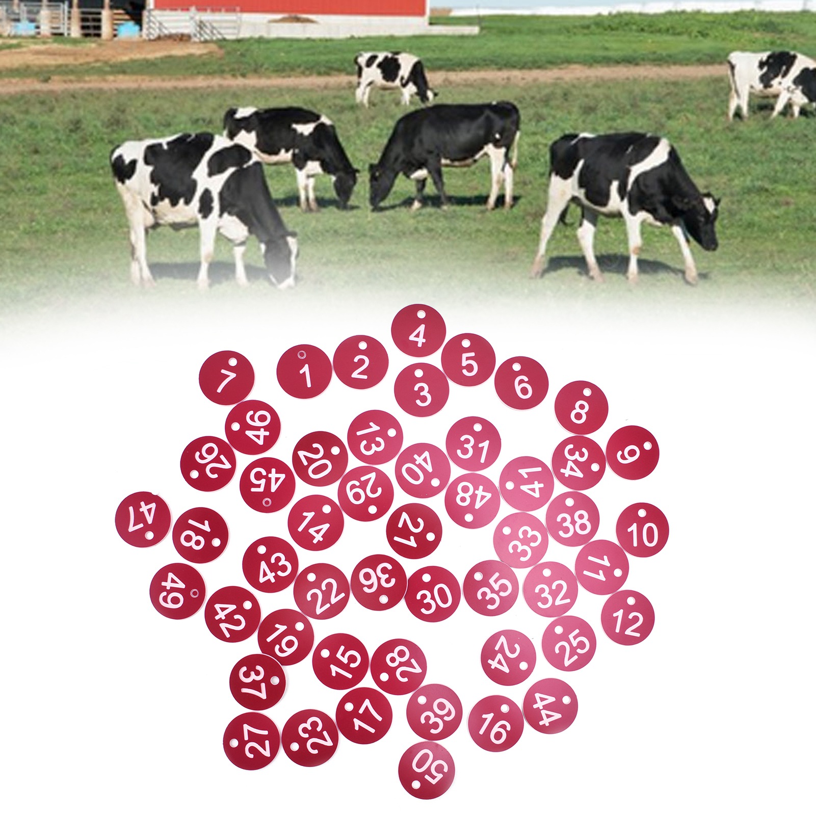 50 Nummerierte Etiketten Für Imkerei Und Viehzucht, Nummeriert Und Perforiert, Für Bienenstöcke, Viehbedarf (1 Bis 50), Rot.