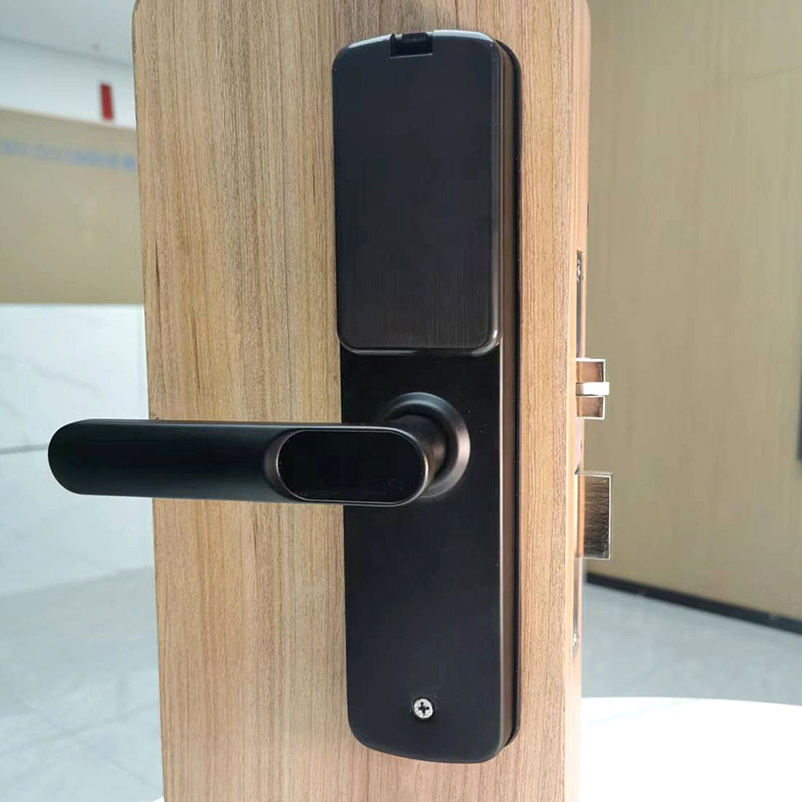 Universelles Elektronisches Fingerabdruckschloss Für Haustüren, Intelligentes Schloss Mit Kartenleser, Schlüssel Und Passwort.