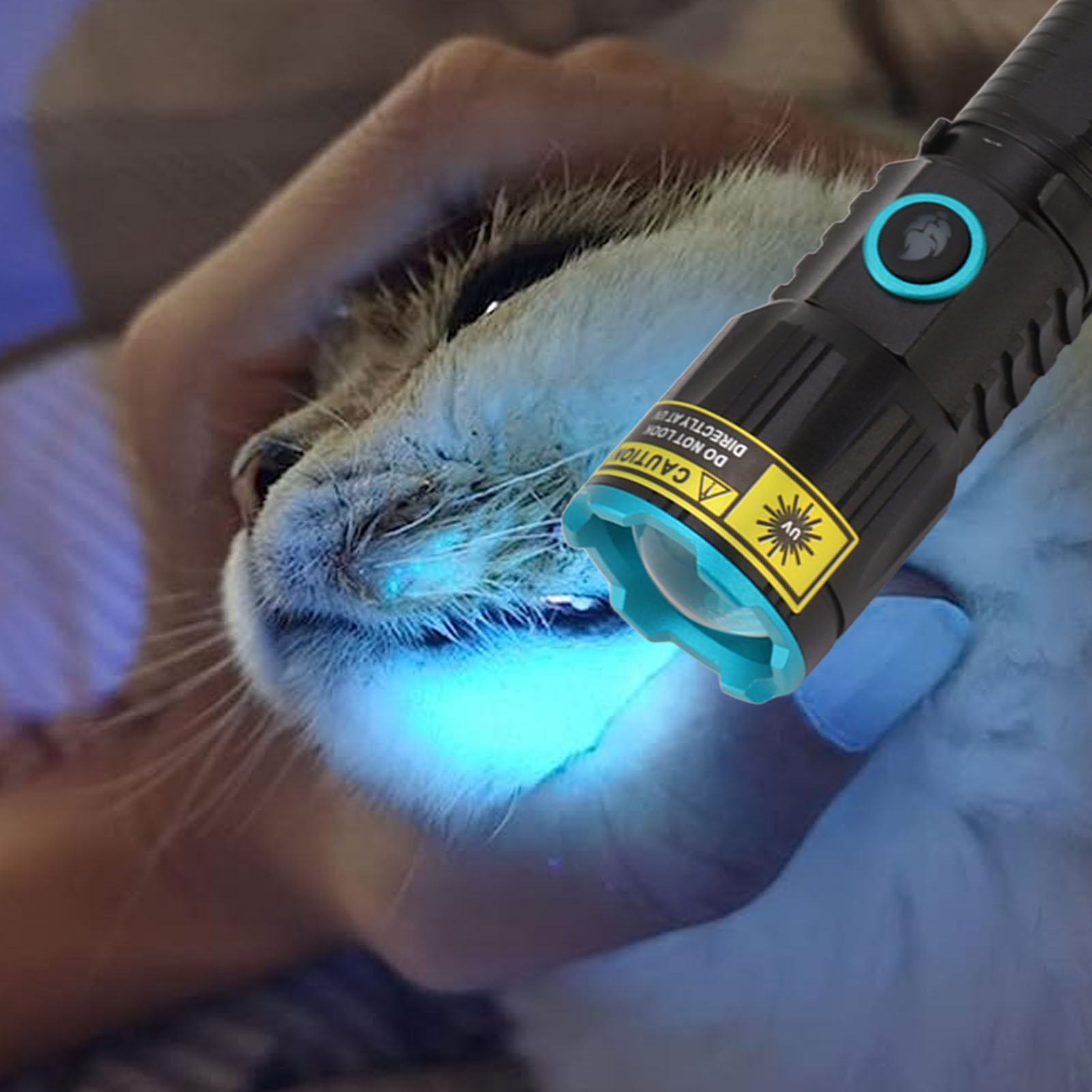 Uv-taschenlampe, Wiederaufladbares Schwarzlicht (365 Nm), Tragbarer Mini-led-detektor Für Harnwegsinfektionen Bei Haustieren, Harzgehärtet, Taschenformat Mit Clip.