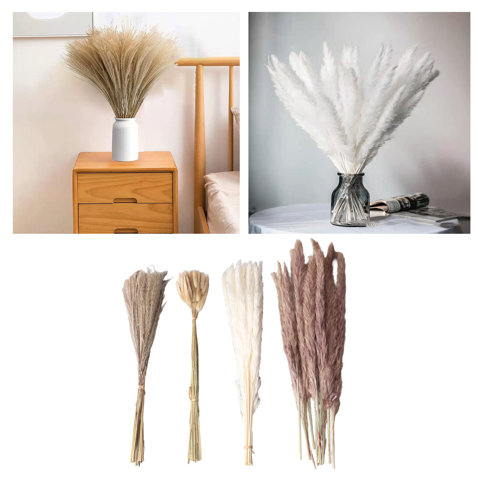 Getrocknetes Schilf, Pampasgrassträuße, Diy-trockenblumen, Wohndekoration Mit Trockenblumen, Kleine Kaninchenschwanz-schilfrohre (50+), Weiße Schilfrohre (15+), Natur-schilfrohre (15+), Schilfbürsten