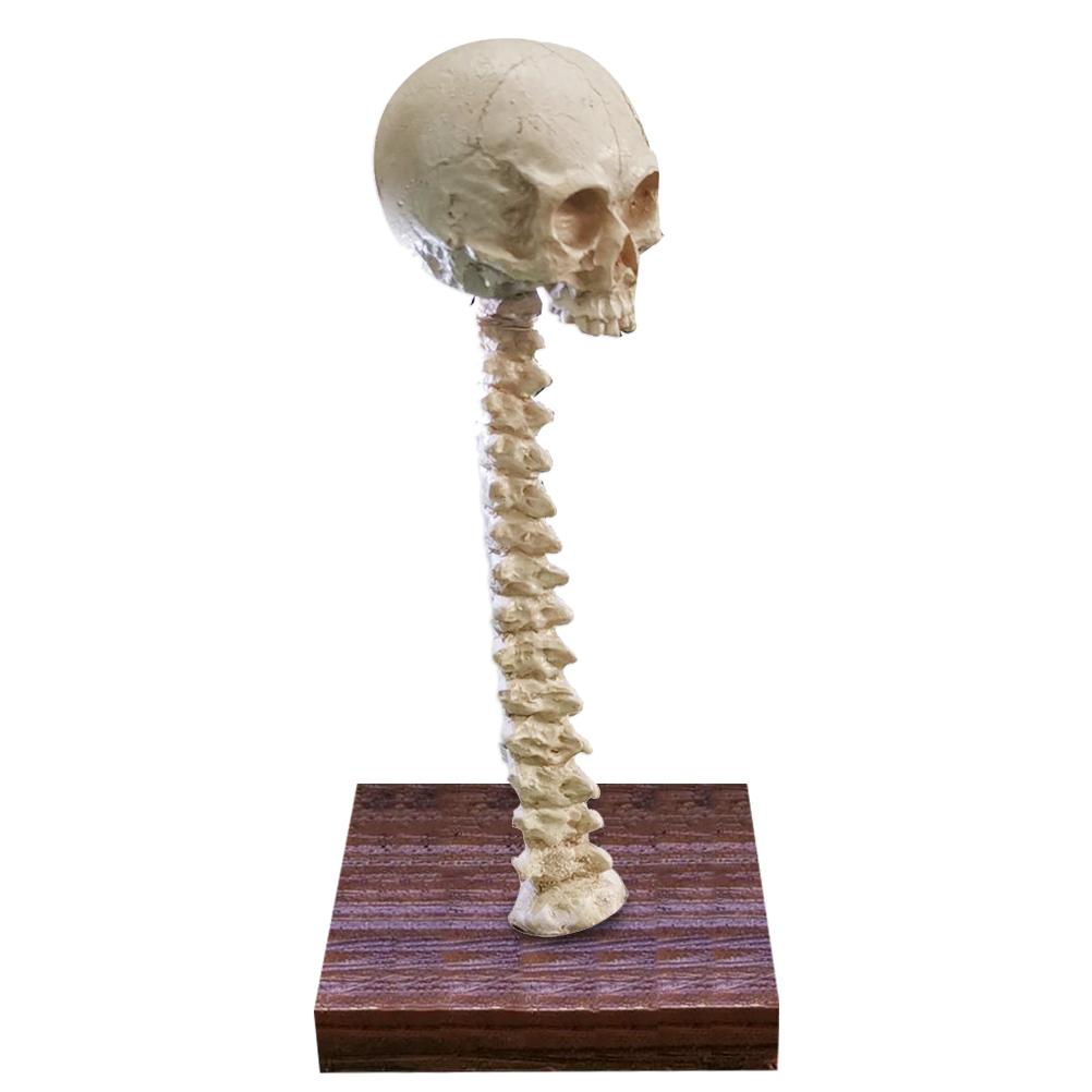 [yue Xing Hui] 3d Led Halloween Totenkopflampe, Horror-heimdekoration, Totenkopf-tischlampe, Skelettlampe (1 Kopf)