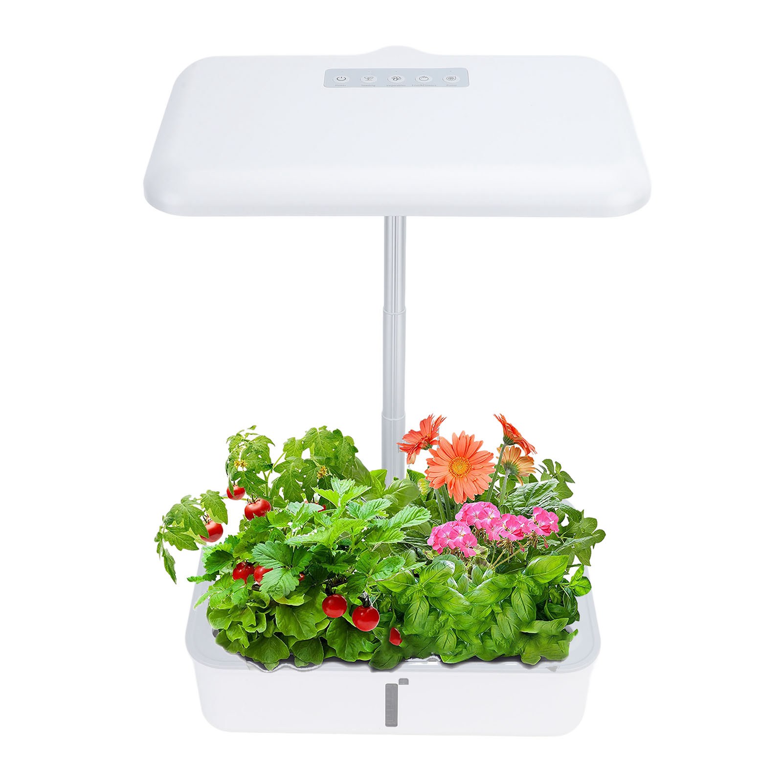 Intelligentes 20w Led-hydroponiksystem Für Pflanzen Und Blumen, 5l Fassungsvermögen, Für Den Erdlosen Anbau Von Obst Und Gemüse, Mit Keimschale, Entspricht Den Europäischen Normen 100-240v.