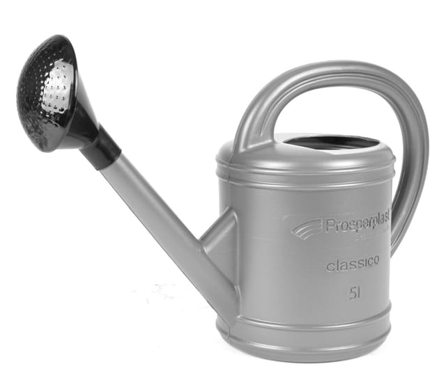 Gießkanne silber 5L mit Brause Blumengießkanne Wasserkanne Blumenkanne Gartenkanne Kanne