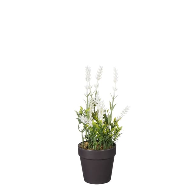 Mica Decorations - Mica künstlicher Lavendel im Topf weiß 24 x 10 cm Dekoblumen
