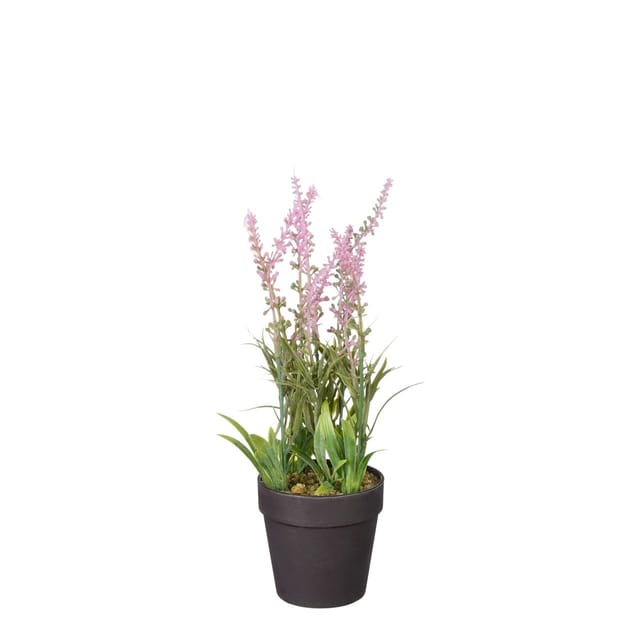 Mica Decorations - Mica künstlicher Lavendel im Topf rosa 24 x 10 cm Dekoblumen