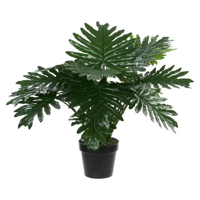 Mica Kunstpflanze Philodendron im Topf 60 x 80 cm Kunstpflanzen