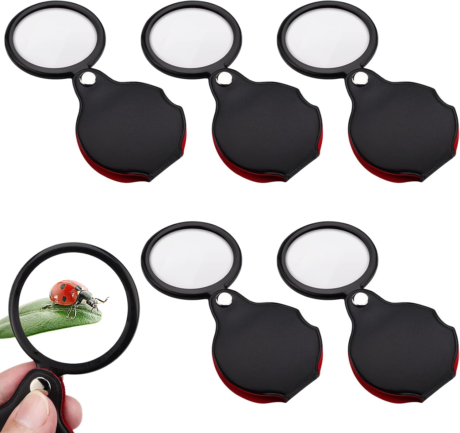 5-teilige Taschen-handlupe – Faltbar, 10-fache Vergrößerung – Mit Drehbarem Schutzetui – 5,5 Cm – Zum Lesen, Für Etiketten, Kleine Texte Und Hobbys