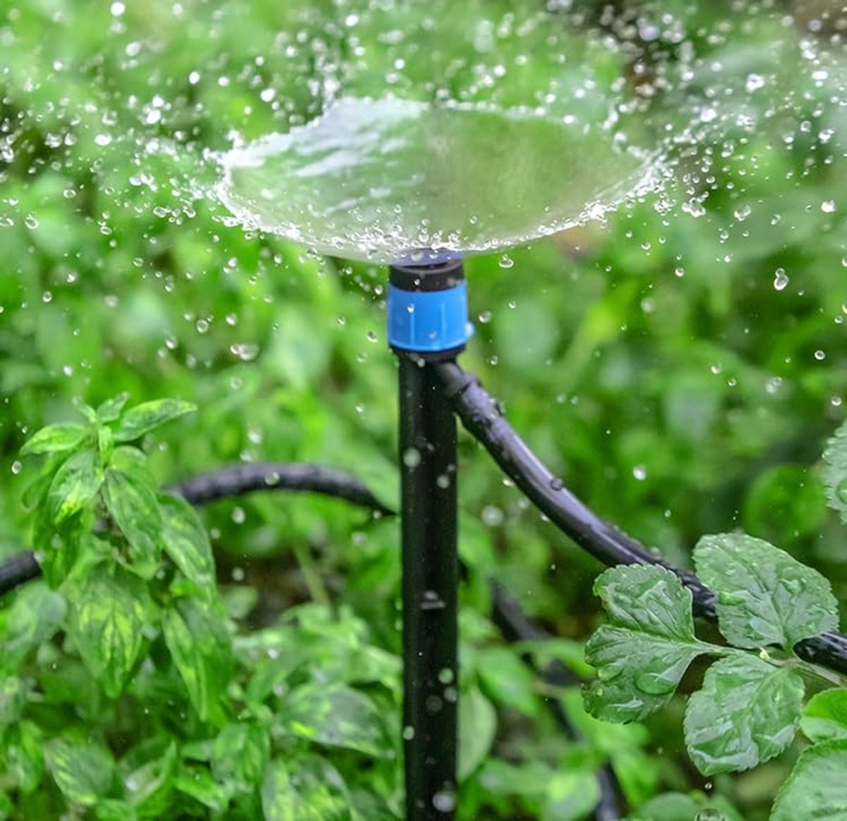 Verstellbare Tropfer – 360°-springbrunnen-sprinkler – 18 Cm Erdungsstecker – 4 Mm Innendurchmesser Schlauch – 50 Stück – Gartenbewässerung – 18 Cm – 50 Stück