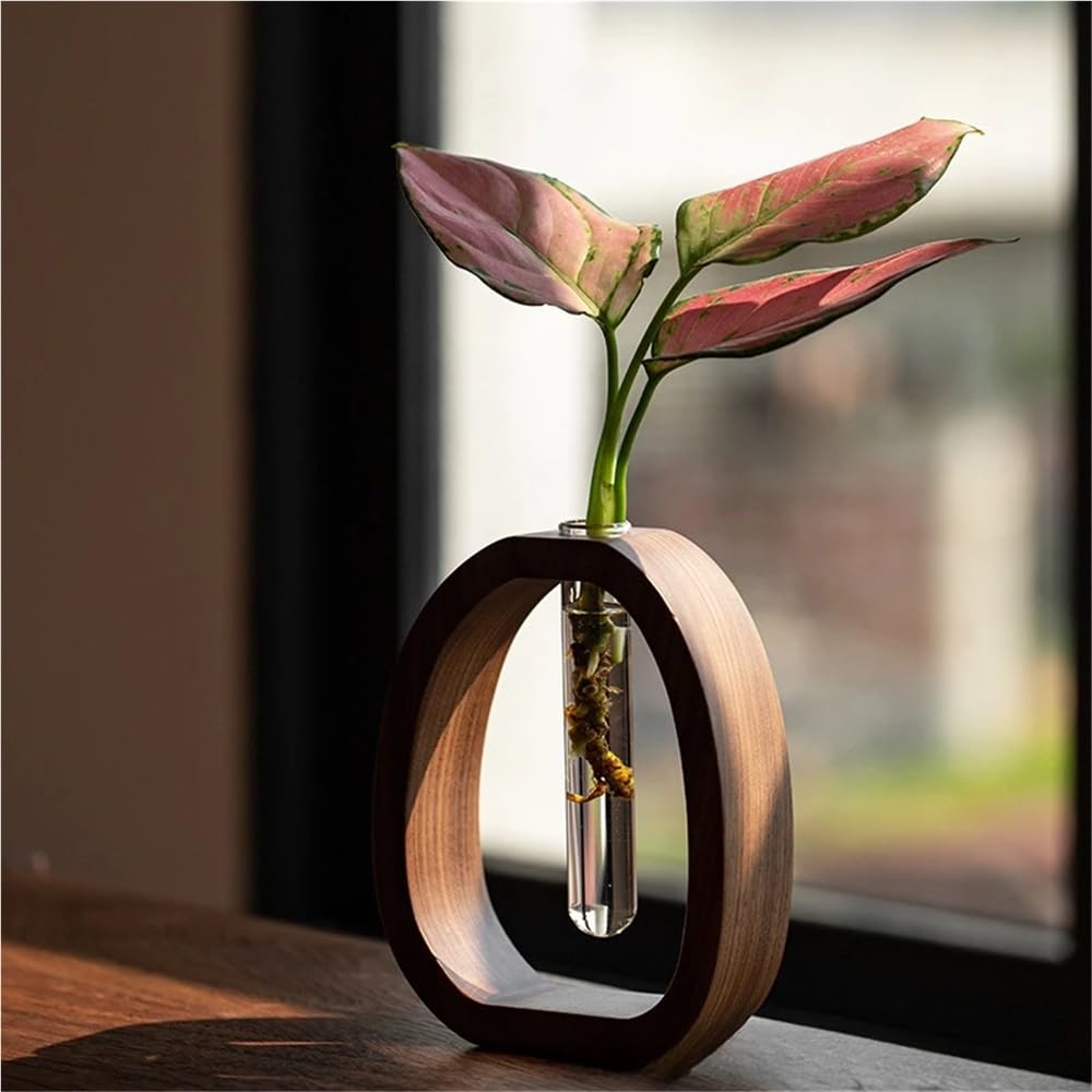Eichelförmige Vase Mit Holzständer, Hydrokultur-glasvase, Blumentopf, Terrarium Für Zimmerpflanzen, Bürodekoration, Wohnaccessoires
