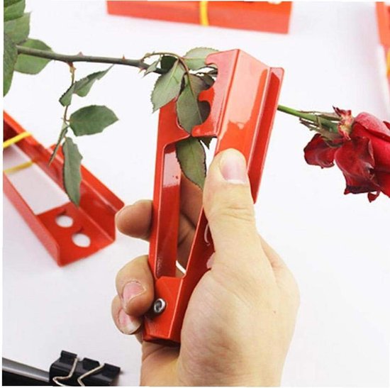 Rosendornenentferner – Floristenwerkzeug – Hocheffizienter Dornenentferner – 14 Cm Lang