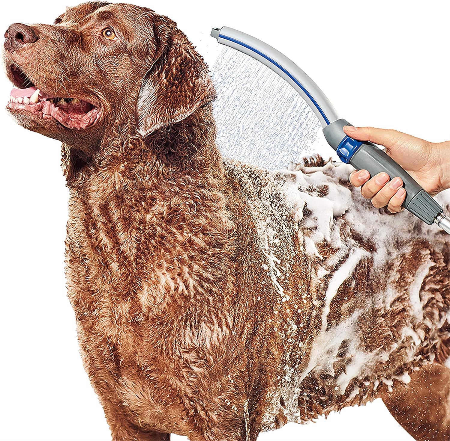 Professioneller Sprühaufsatz Für Die Hundepflege – Schnelles Und Einfaches Waschen Und Reinigen Von Hunden – Für Drinnen Und Draußen. Ausgestattet Mit Einem 2,4 M Langen Sprühkopf.