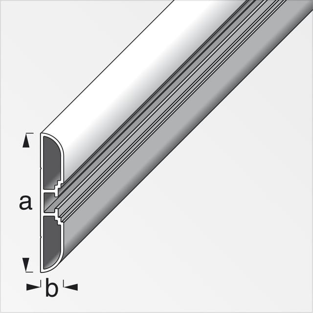 Profil 60 x 10 x 2000 mm Wandschiene Wandprofil - Alfer