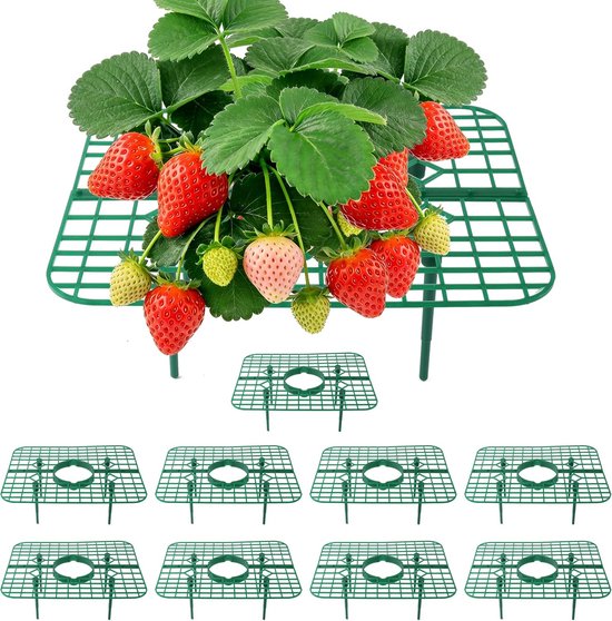 Erdbeerstützen – Fruchtkäfig – Fruchtnetze – Wiederverwendbarer Kunststoff – 16 X 16 X 27 Cm – Grün