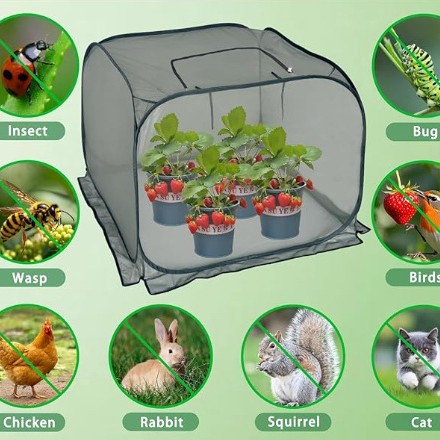 2 Stück Pflanzenschutzhüllen – Schutz Vor Mücken, Insekten, Staub Und Tieren – Geeignet Für Den Anbau Von Gemüse Und Blumen