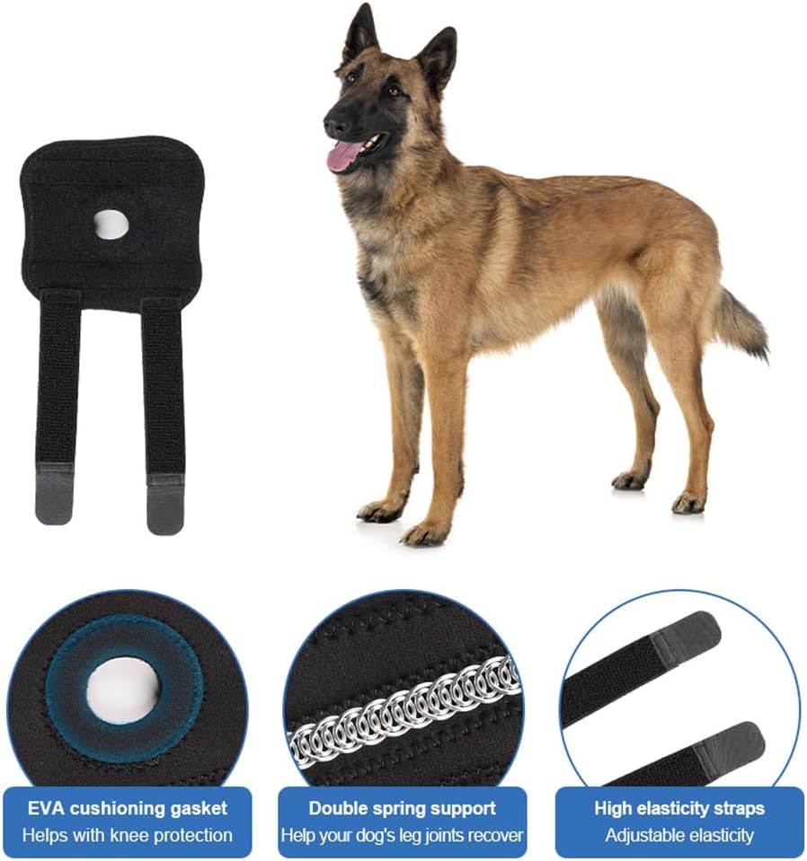 Ellbogenprotektoren Für Hunde – Hundeprotektoren – Regeneration – Knieprotektoren Für Hunde Mit Schutzfunktion Und Vorbeugung Von Verstauchungen – Größe M – 2-teilig