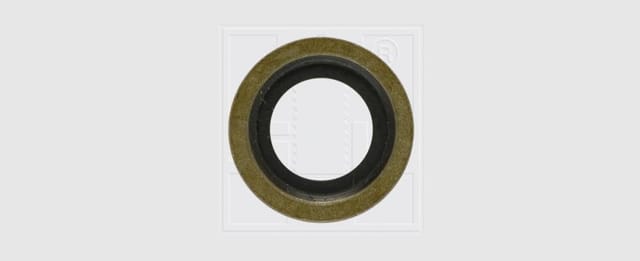 Dichtring Ford 16x24x1,5 2 Stück Autoreparatur - SWG