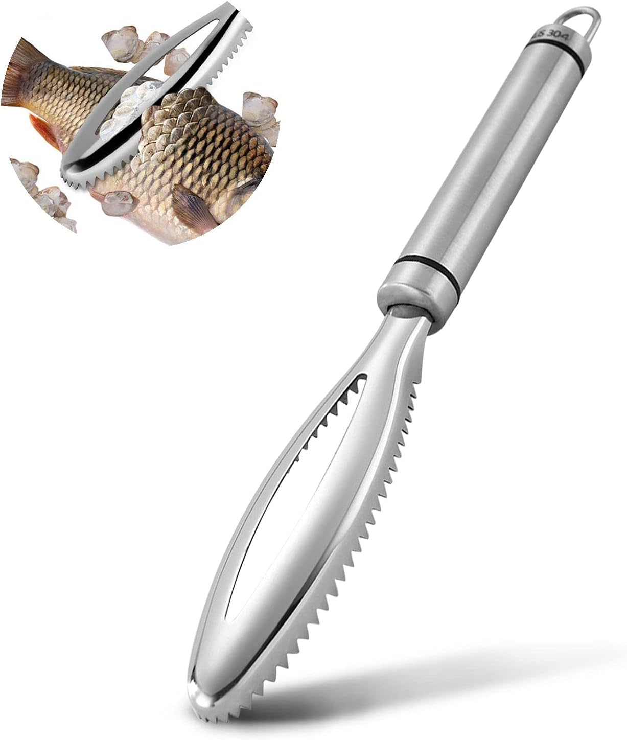 Fischschuppenentferner – Fischschuppenentferner Aus Edelstahl – Fischschuppenschaber – Professioneller Fischschuppenentferner – Fischschaber – Küchenutensil