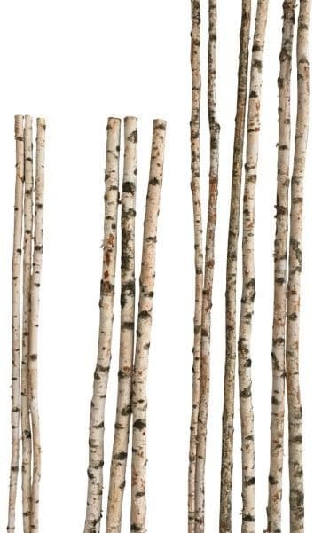 Birkenstamm 90 cm - ø 2-4 cm Birkenholz Birke Deko Holz