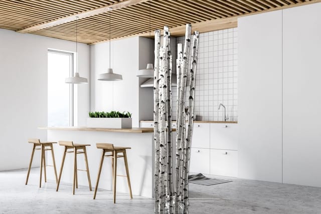 Birkenstamm 180 cm - ø 4-6 cm Birkenholz Birke Deko Holz