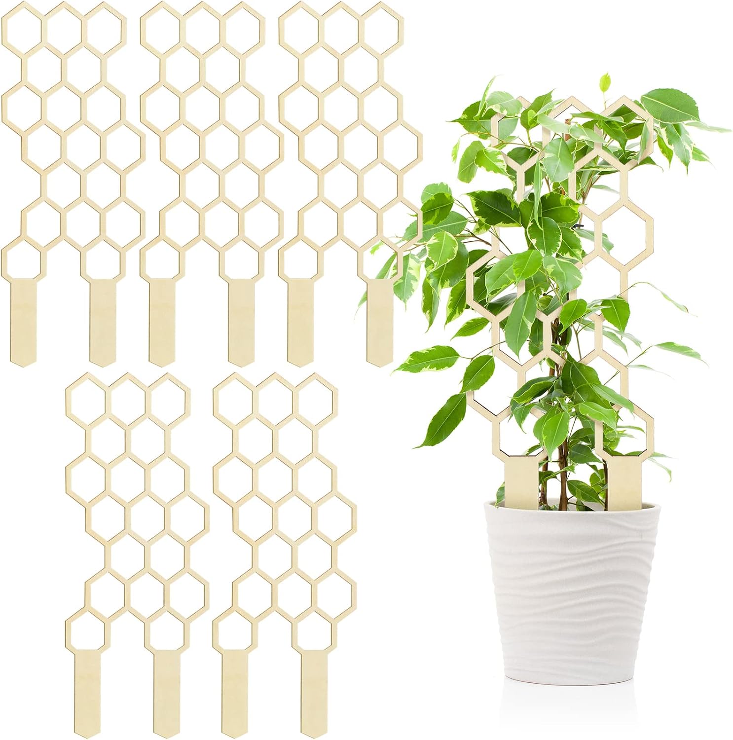 5er-set Klettergerüste – Für Zimmerpflanzen – 30 Cm Hoch – Kleines Gartenregal Aus Holz – Für Topfpflanzen – Wabenförmig – Starterregal – 30 Cm