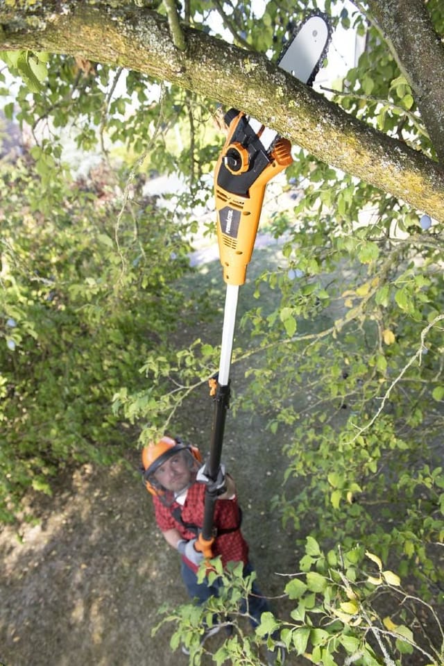 Primaster Hochentaster Astsäge Astschere Elektro Baumsäge Kettensäge 750 W