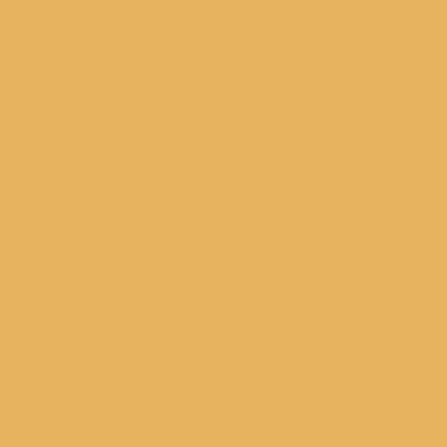 Braun&company - Servietten Colours of Papaya 33x33 cm 20er Pack Papierservietten