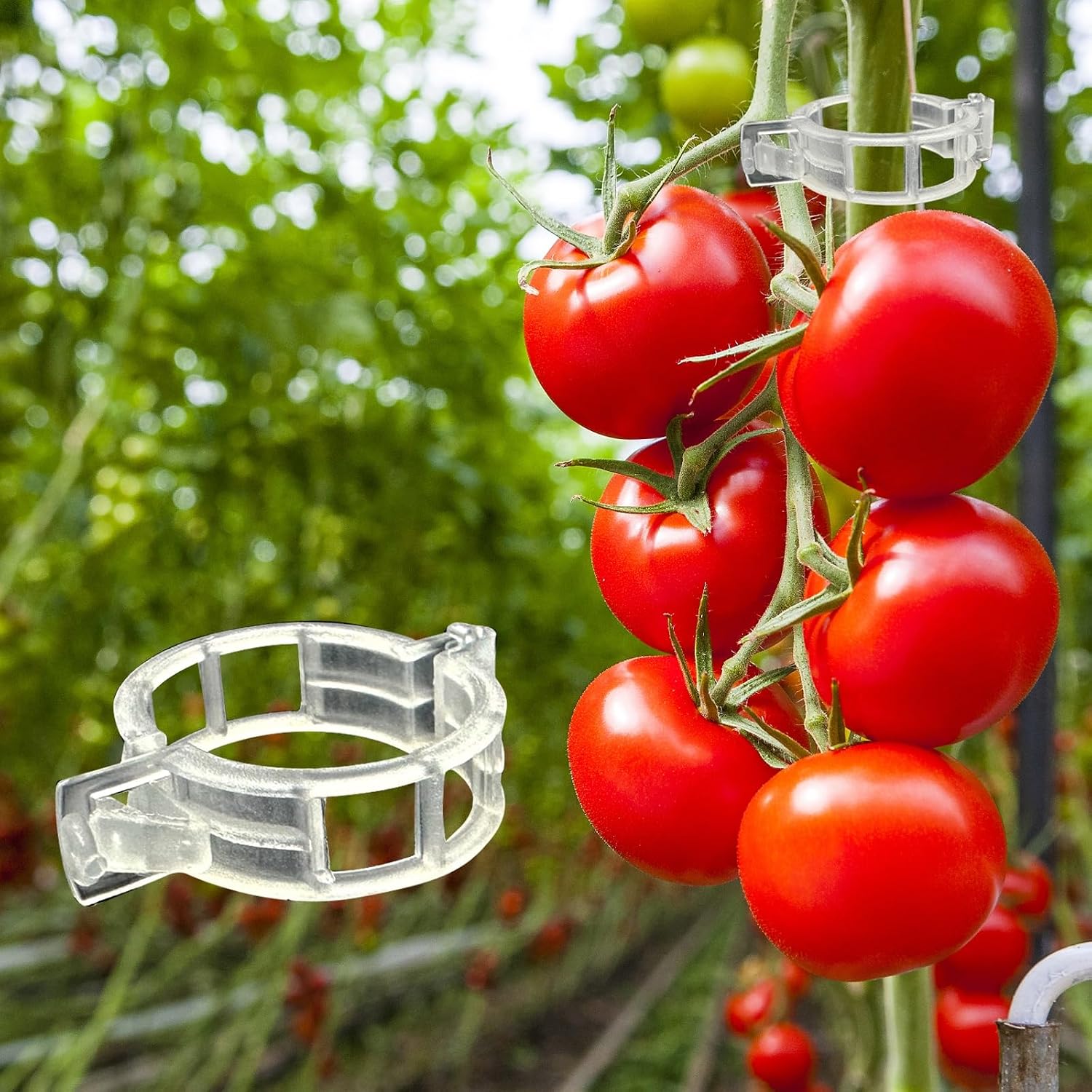 300 Tomatenclips – Kunststoff-stützclips Für Pflanzen – Geeignet Für Weinreben, Tomatenruten Und Gemüsepflanzen