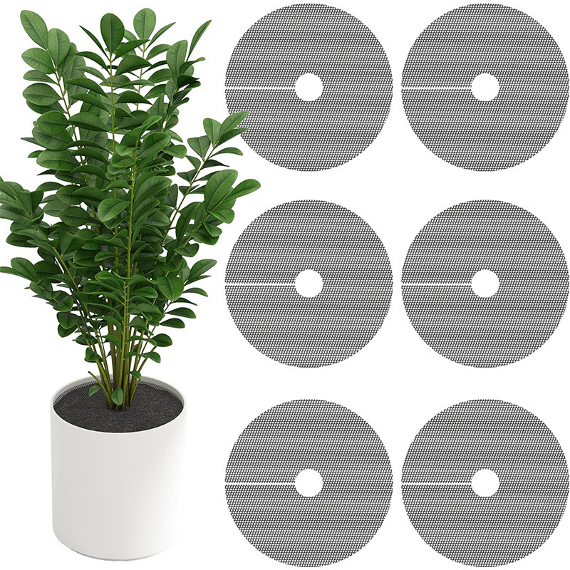 Bodenschutz Für Zimmerpflanzen Zum Schutz Vor Tierschäden. Auch Zum Schutz Von Pflanzen Im Garten Geeignet. 6 Bodenschutzkappen (durchmesser 30 Cm).