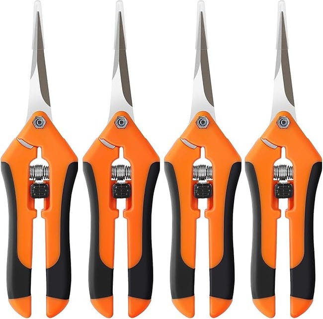 Ein Set Aus Vier 6,5 Zoll Langen Gartenscheren Aus Edelstahl Für Präzises Beschneiden Und Pflegen Von Blumen Und Gartenpflanzen.