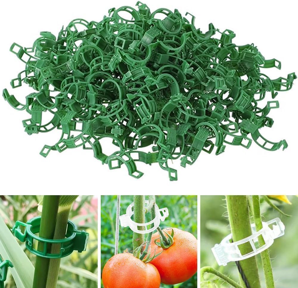 100 Kletterpflanzen-stützclips, Darunter Tomatenclips Zur Befestigung Von Gemüse, Gurken, Blumen, Sträuchern Und Käfigpflanzen (grün).
