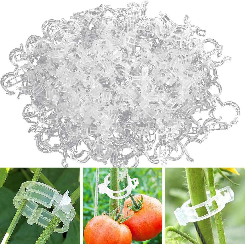 100 Kletterpflanzen-stützclips, Tomatenclips Zur Befestigung Von Gemüse, Gurken, Blumen, Sträuchern Und Käfigpflanzen (transparent).