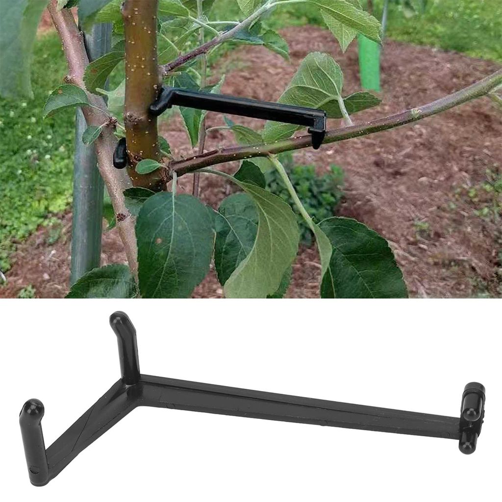 20-teiliges Set Zum Spreizen Von Obstbaumästen. Dieses Set Fördert Ein Kräftigeres Astwachstum Und Eignet Sich Ideal Für Die Gartenarbeit.