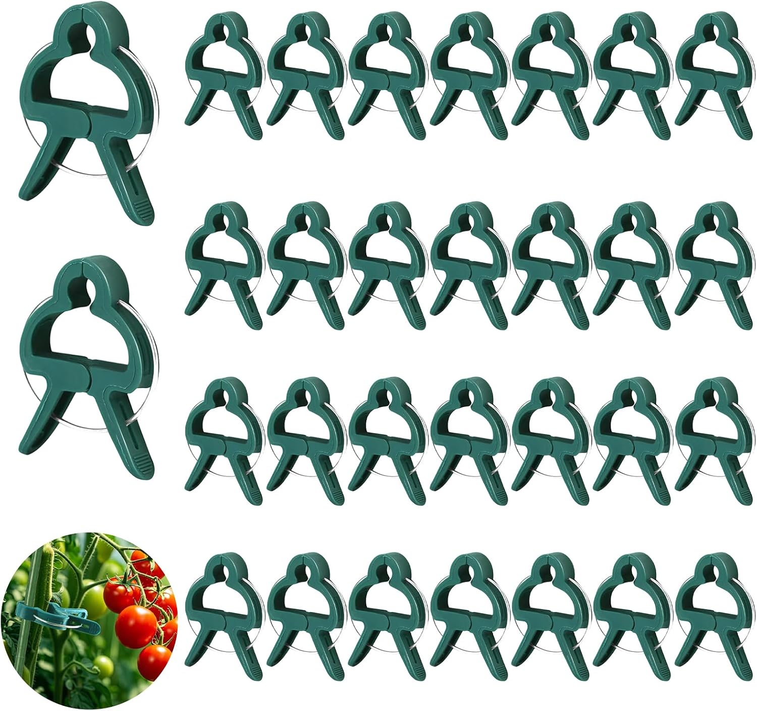30 Pflanzenstützclips, Wiederverwendbare Gartenpflanzenclips