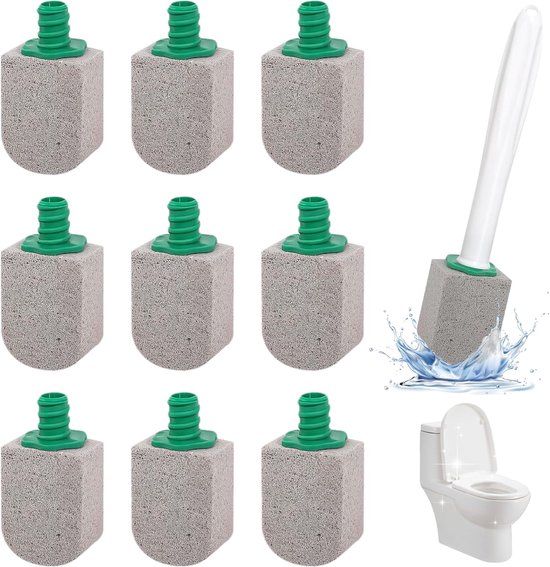 10 Toilettenbürsten Aus Bimsstein Mit Griff