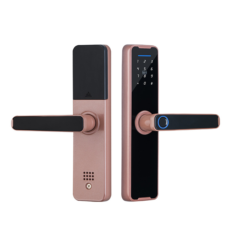 Fingerabdruck-türschloss – Intelligentes Türschloss, Elektronisches Türschloss Mit Fingerabdruck- Und Digitalem Tastencode, Magnetkarten-/schlüssel-/temporäre Entriegelung (rosa)