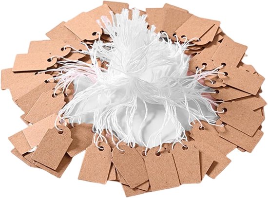 Beschreibbare Preisschilder Mit Schnur Für Einzelhandel & Schmuck – Kraftpapier – 500 Stück – 25 × 15 Mm – Blanko-geschenkanhänger Für Schmuck – Für Bekleidungspreise, Garage
