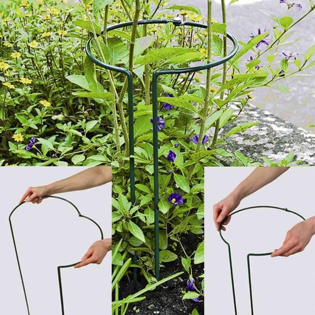 Pflanzenstütze vollrund 55 cm verstellbar