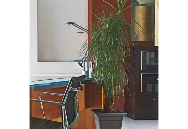 Pflanzuntersetzer krea quadratisch 45 cm anthrazit