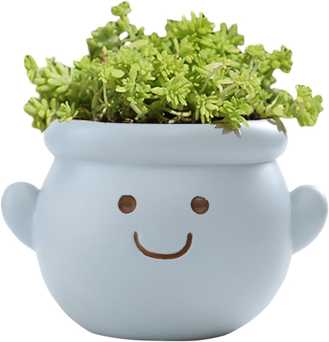 Niedlicher, Gesichtsförmiger Blumentopf, Kleiner Blumentopf Aus Kunstharz In Form Eines Menschlichen Kopfes, Für Zimmerpflanzen, Lustiger Blumentopf Mit Smiley-gesicht, Sukkulententopf