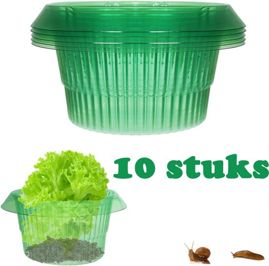 10er-packung Grüne Pflanzenschneckenschutzringe/-hüllen