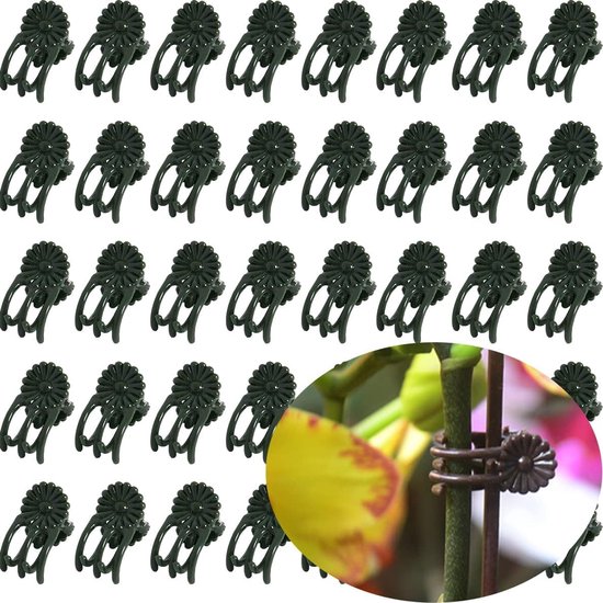 50 Pflanzenclips, Kunststoff-stützclips Für Orchideen, Kleine Blumen, Kletterpflanzen, Geeignet Für Drinnen, Draußen, Garten, Topfpflanzen (grün)
