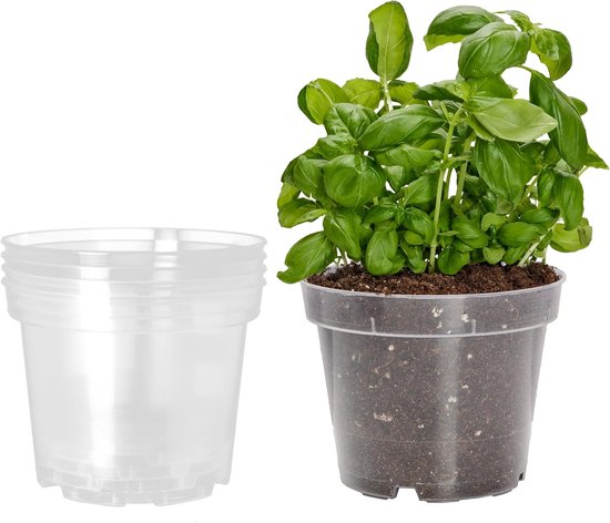 Transparente Runde Blumentöpfe, Geeignet Für Zimmerpflanzen - 5er-pack, 21 Cm Durchmesser, 16 Cm Höhe.