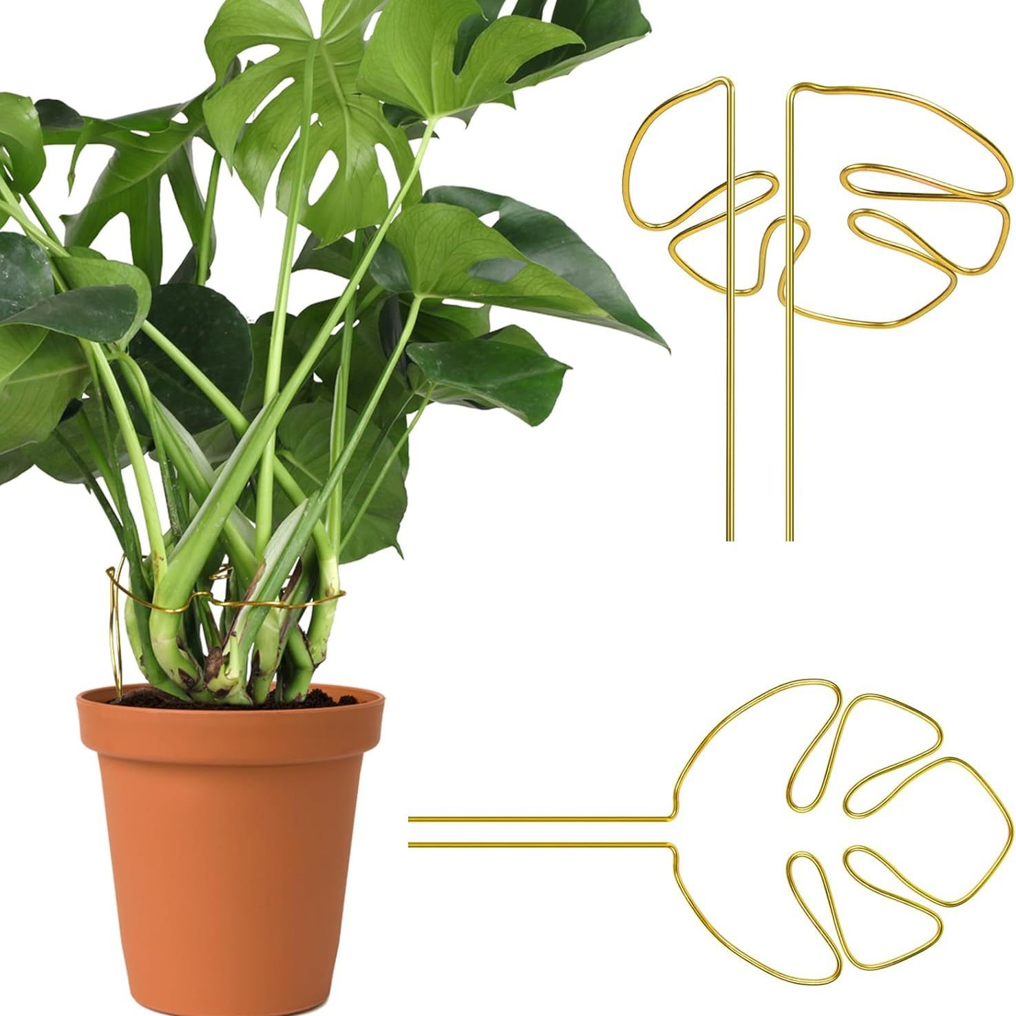 Monstera-pflanzenstütze, Kreative Metall-blumenstütze Für Zimmerpflanzen, 28 Cm