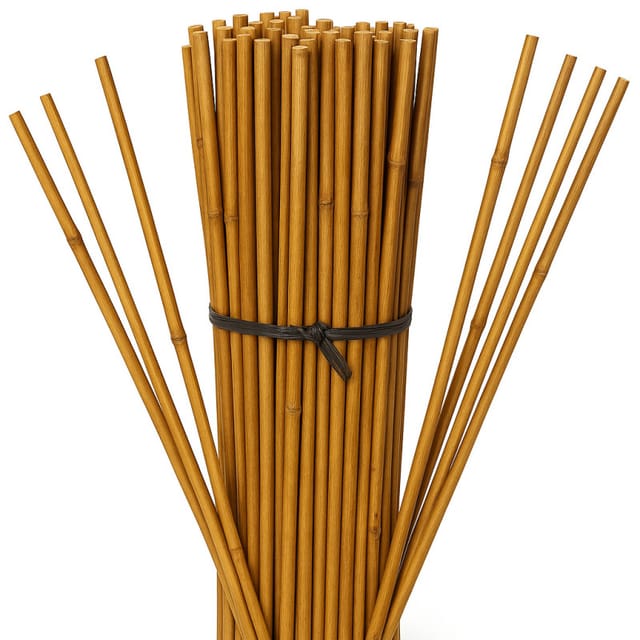 Suinga - 100 Stück Bambusstützen für Pflanzen 240 cm (18-22 mm) – Bambusstäbe, Stützen für Pflanzen, Gemüse, Tomaten, Bambusstäbe