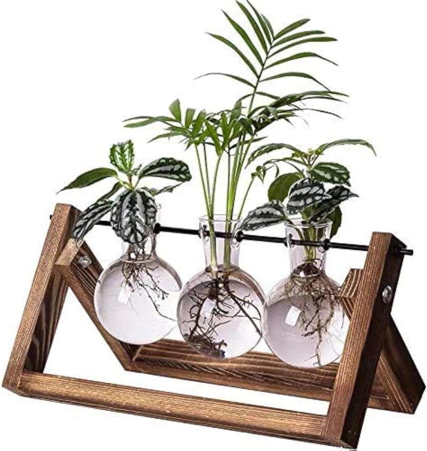 Anzuchtstation Für Pflanzen Im Terrarium-stil – 3 Kugelförmige Glasvasen Mit Retro-holzsockel – Boho-schreibtisch-garten – Hydrokultur – Einzigartige Dekoration – Zuhause